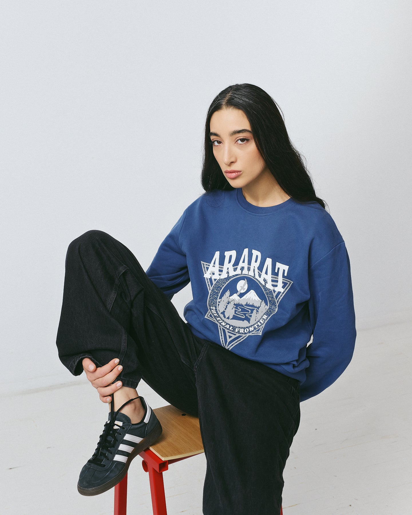 Final Frontier Ararat Sweatshirt